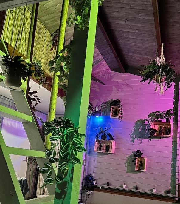 Jungle Style Lodge With Jacuzzi ,Sauna And Garden Near Amsterdam Vijfhuizen Luaran gambar